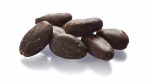 Cocoa Bean Producing Countries