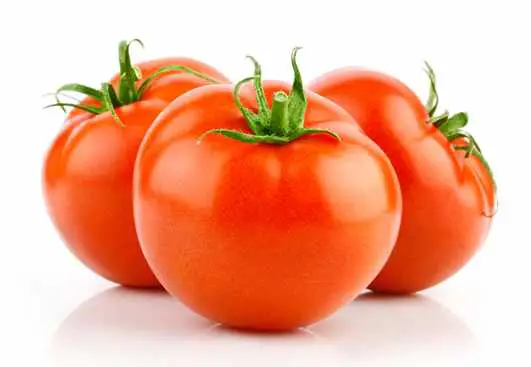 Tomato Producing Countries