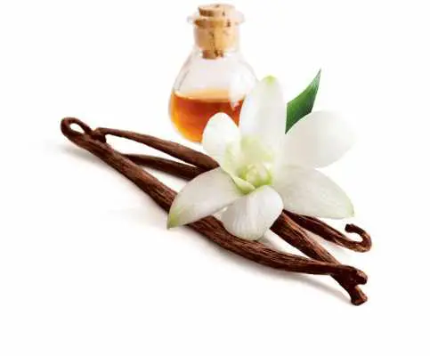Top 5 Vanilla Producing Countries