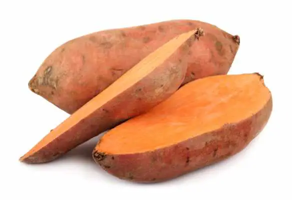 Top 5 Yam Producing Countries