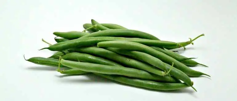 Top 5 String Bean Producing Countries
