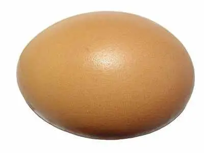 Top 5 Countries that Produce the Most Eggs