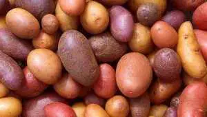 Top 5 Countries that Produce the Most Potatos