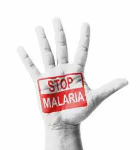Top 5 Countries with the Most Deaths from Malaria