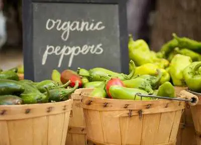 Top 5 Countries with the Largest Markets for Organic Foods