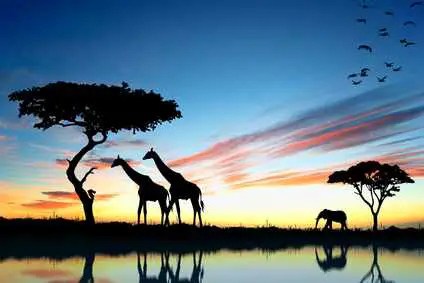 Top 5 African Countries with the Most Tourist Visits