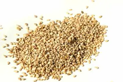 Top 5 Sesame Seed Producing Countries