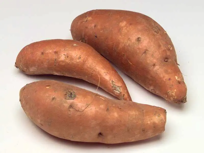 Sweet Potato Producing Countries