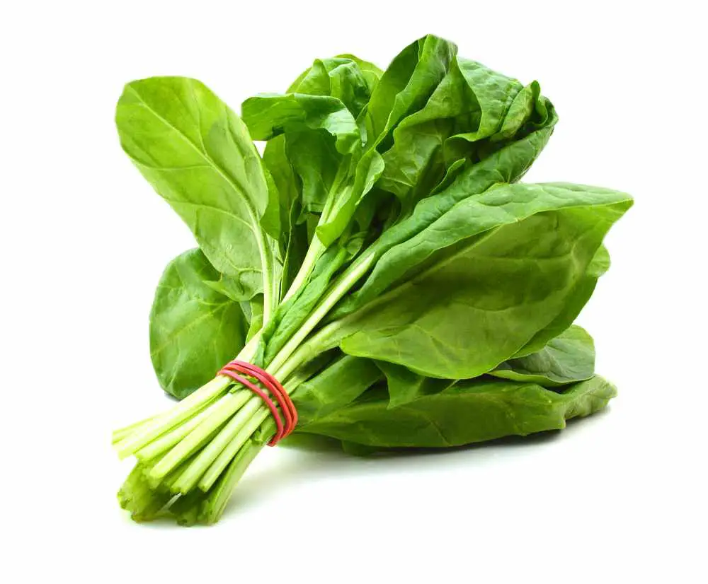 Top 5 Spinach Producing Countries