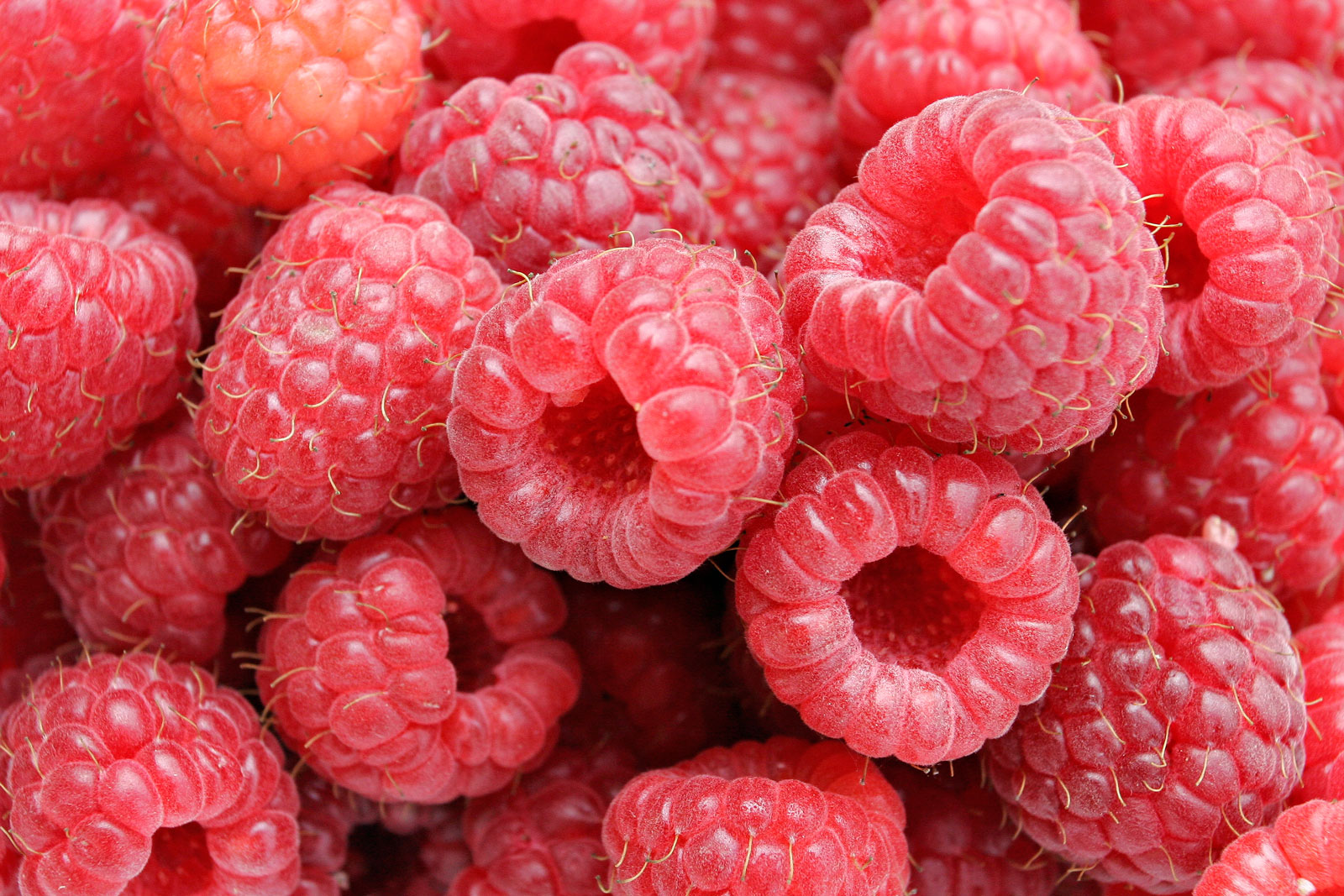 Top 5 Raspberry Producing Countries